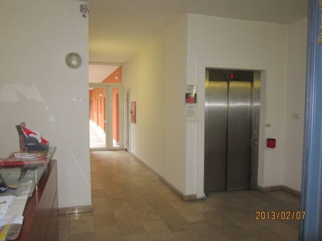 One bedroom modern apartment