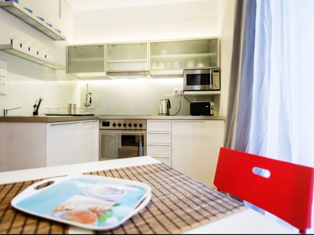 One bedroom modern apartment