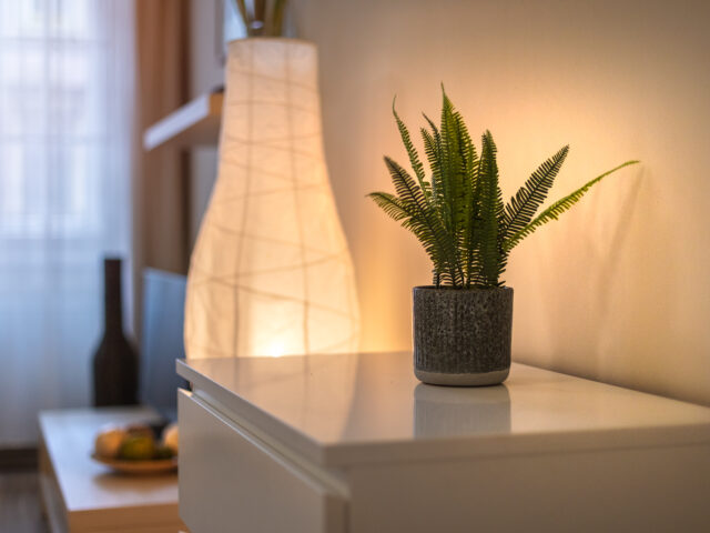 Egy hálószobás extra kényelmes apartman