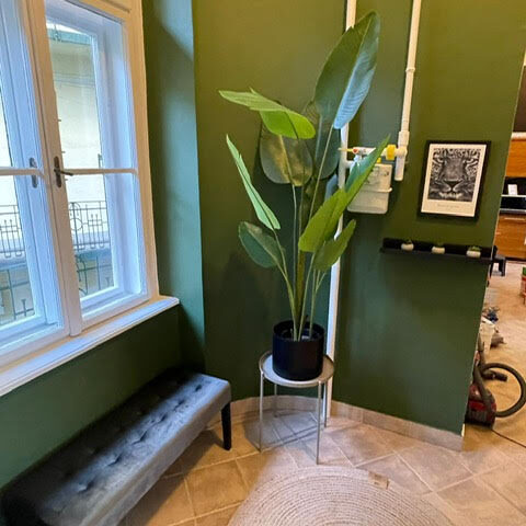 ORANGEHOMES Panthera Luxury Apartment