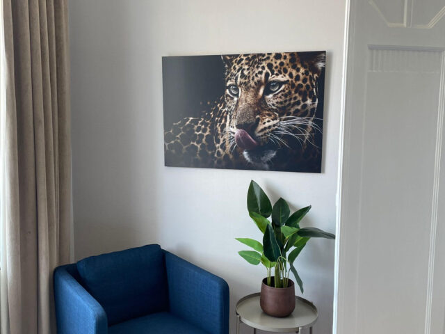 ORANGEHOMES Panthera Luxury Apartment